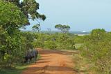 Yala National Park